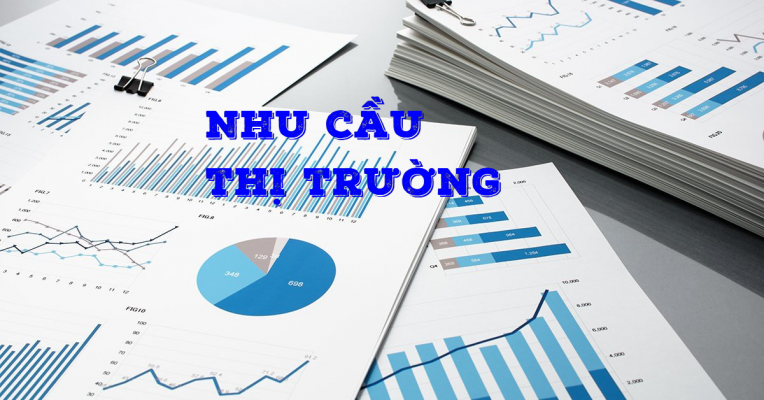 vki-xac-dinh-kha-nang-dau-tu
