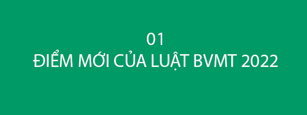 luat sua doi bo sung 2022