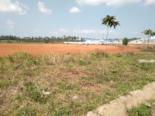 KCN-vki