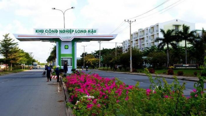 vki kcn long hau