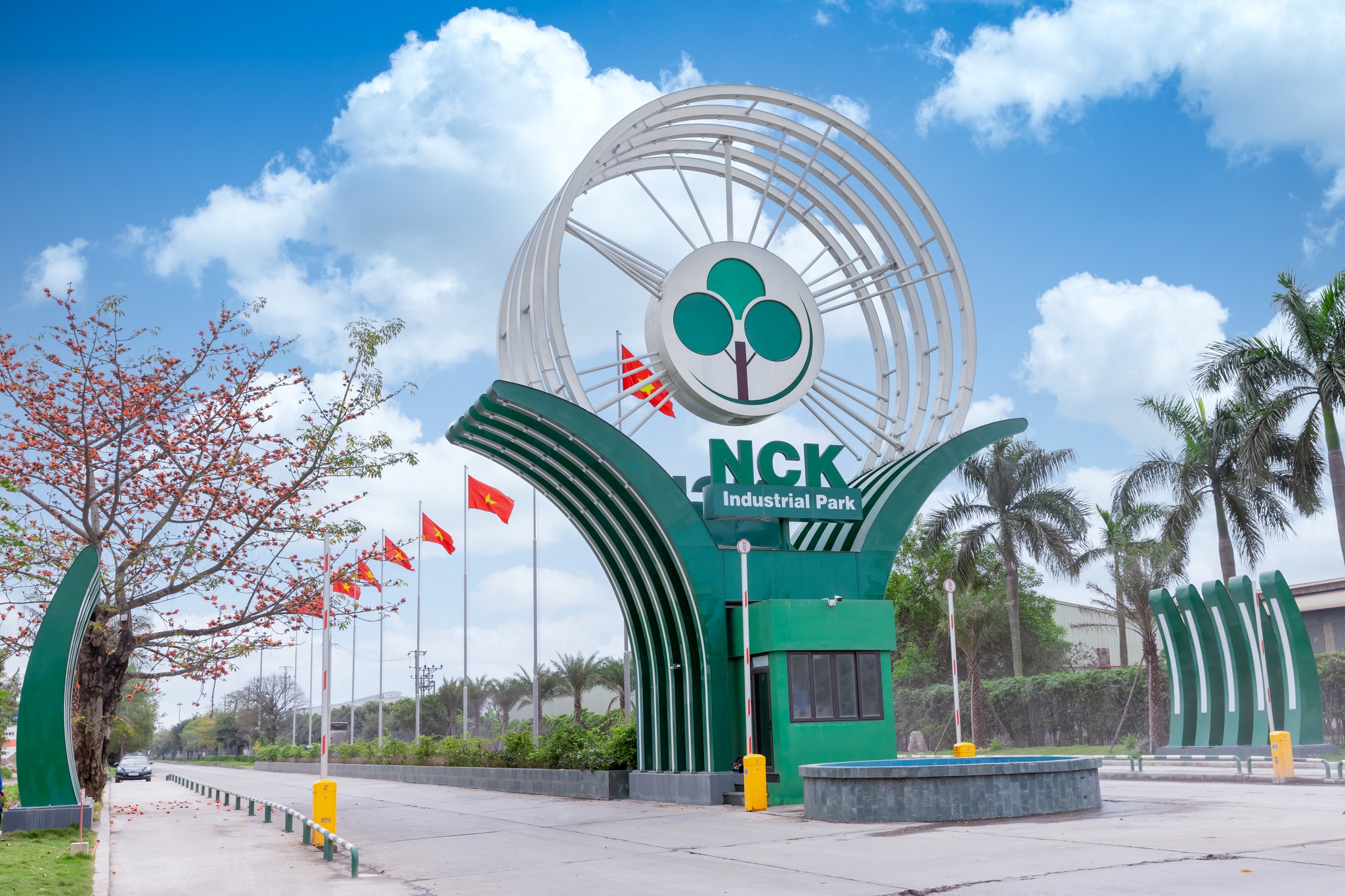 kcn nam cau kieu