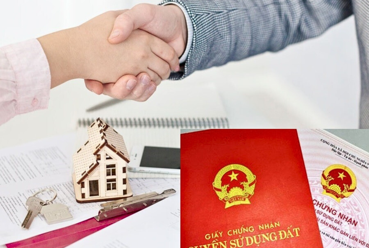 Thiet ke chua co ten 55